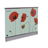 Celoskleněné zábradlí v AL profilu, 2500x1000mm